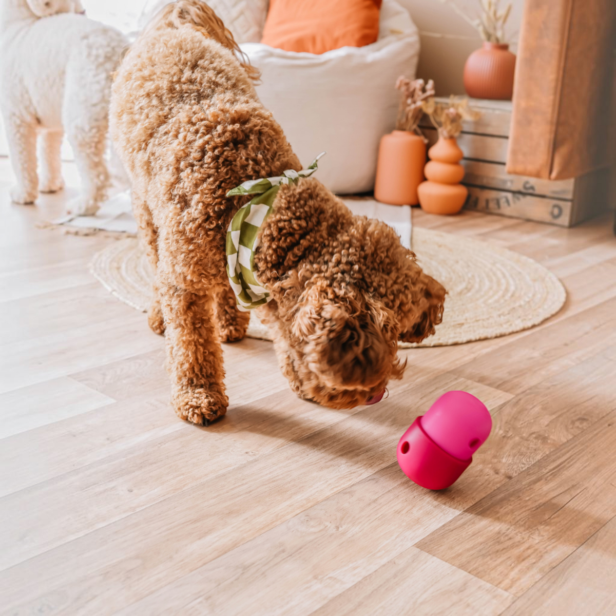 Patomia Fun Feeder pink rubber treat dispensing toy on a wooden floor with a curly-haired dog playing with it.