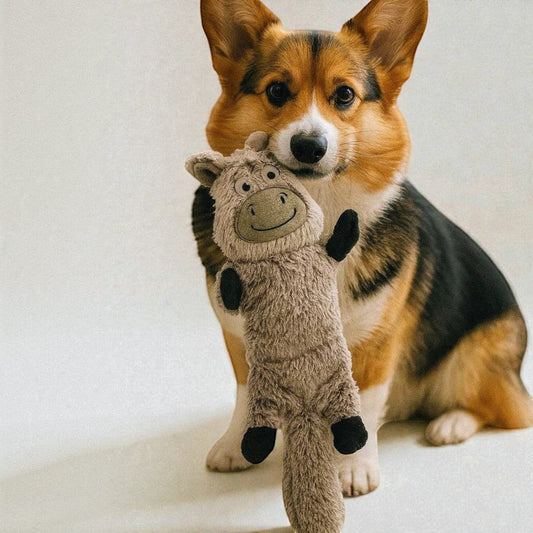 Patomia plush donkey dog toy with squeaker held by a cute Corgi, featuring soft grey fabric and embroidered details.