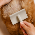 Charger l'image dans la visionneuse de la galerie, Patomia professional detangling brush grooming a golden dog's fur with a beige ergonomic handle
