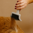 Charger l'image dans la visionneuse de la galerie, Patomia professional dog grooming brush with wooden handle and metal pins detangling long golden fur
