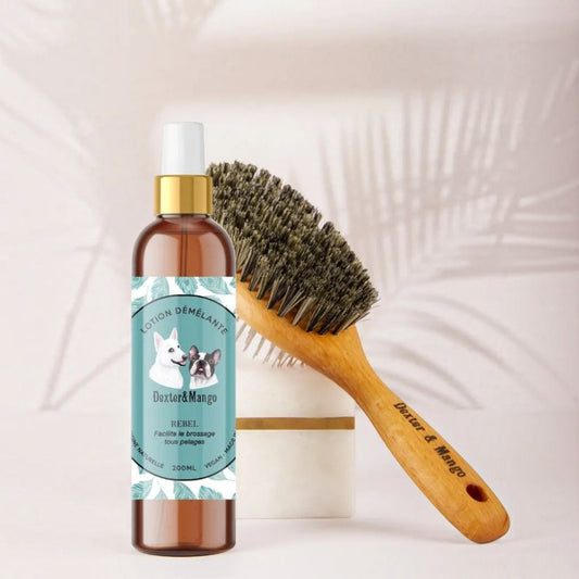 Patomia Rebel detangling spray for dogs and cats with a wooden grooming brush on a neutral background