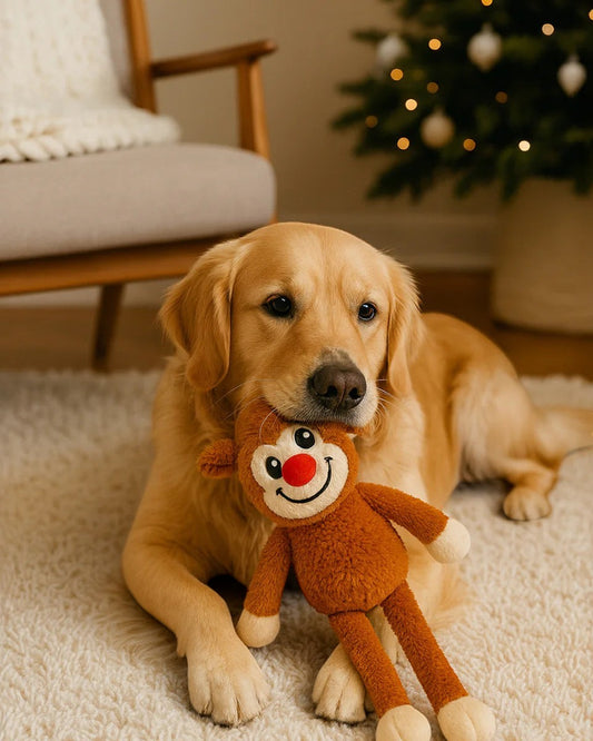 Golden Retriever holding a Patomia plush reindeer dog toy with a hidden bouncy ball inside on a white rug