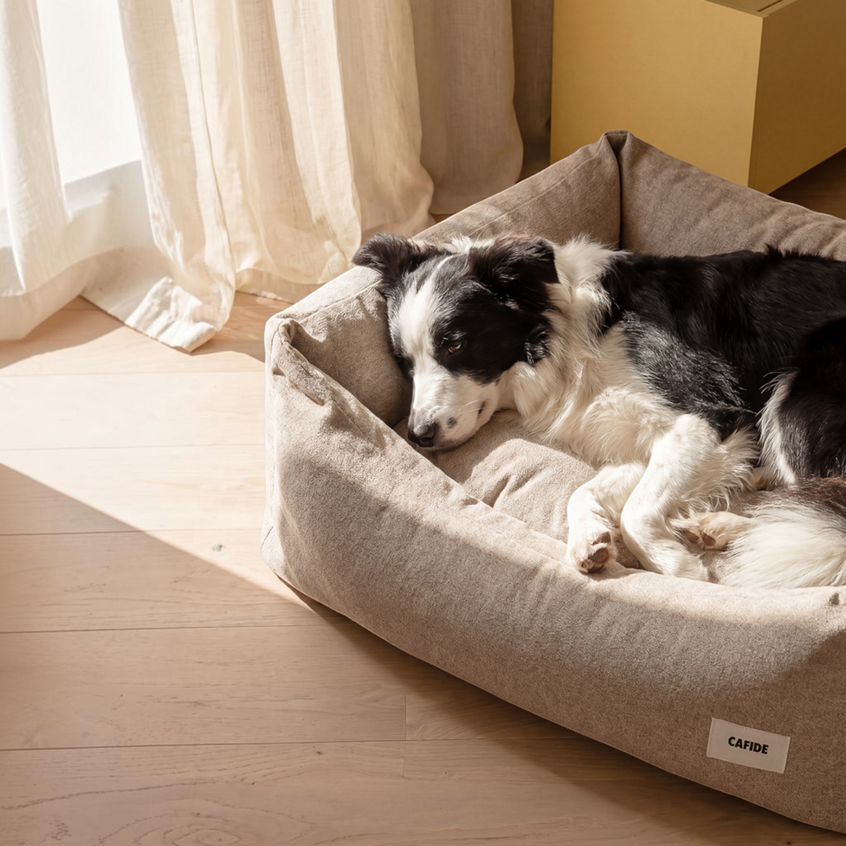 Patomia Snozy beige dog bed with soft fabric and recycled foam filling, featuring a resting border collie.