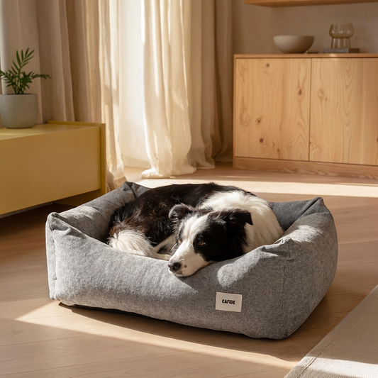 Patomia Snozy grey dog bed with a soft polyester cover and recycled foam filling, featuring a resting border collie.