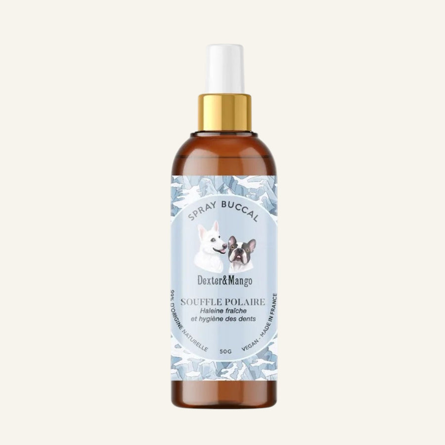 Patomia Souffle Polaire natural dog breath spray in an amber bottle with a white pump and blue illustrated label.
