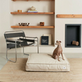 Charger l'image dans la visionneuse de la galerie, Patomia square beige linen dog bed with recycled foam filling, placed on a rug in a modern living room with a dog.
