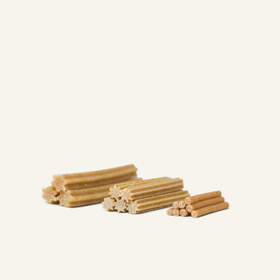 Patomia Stitch dental sticks for dogs made with cheese and rice, shown in three different sizes on a plain background.