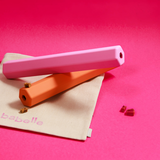 Patomia Treat Tube enrichment toys in pink and orange, durable hexagonal dog treat dispensers on a canvas bag.