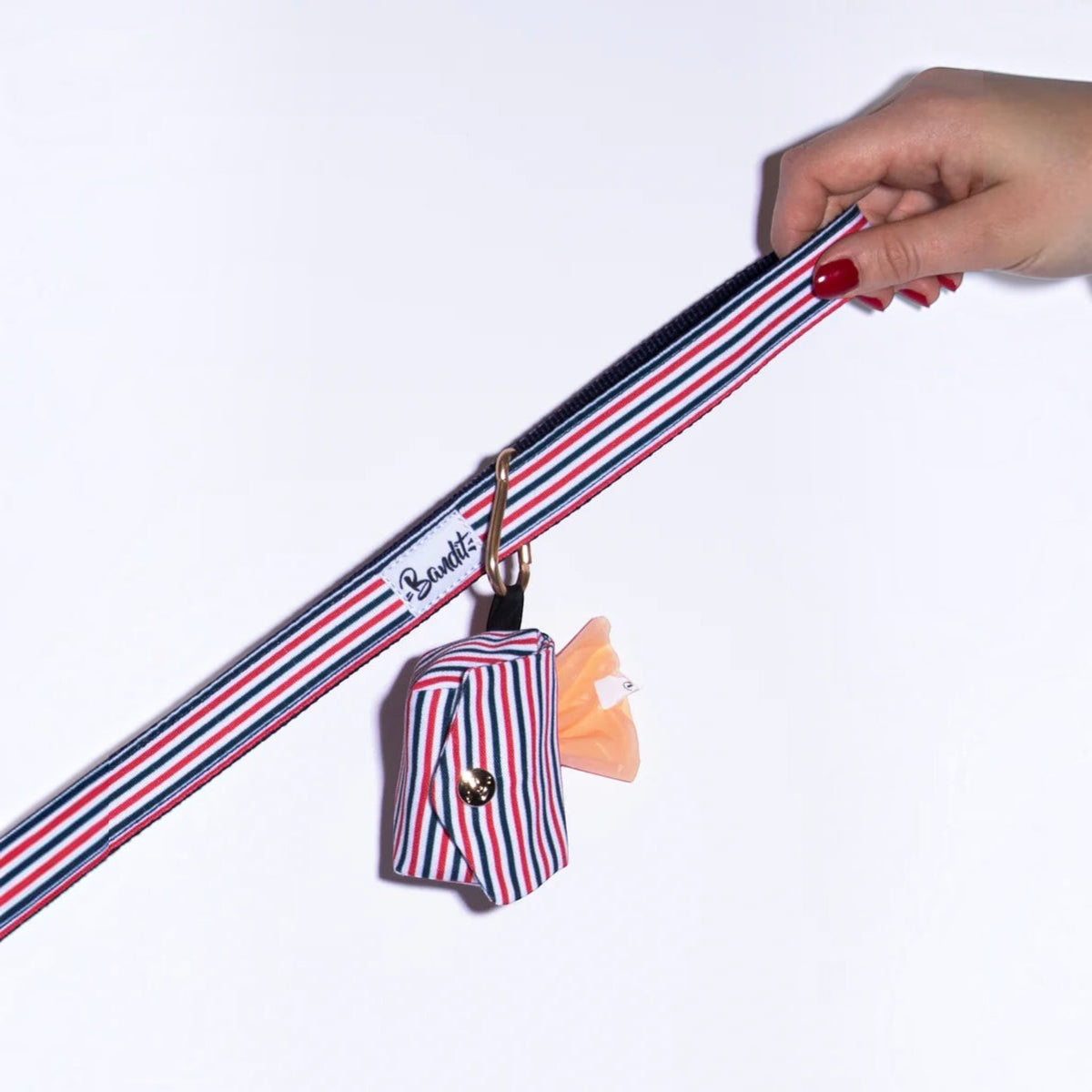 Patomia tricolore dog waste bag holder clipped to a matching striped leash with a gold snap button and eyelet