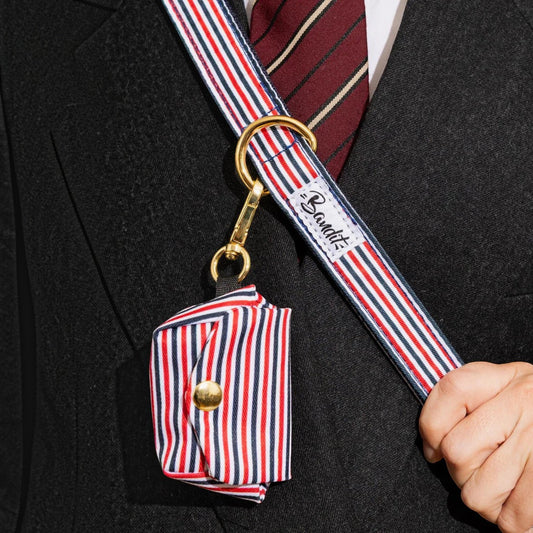 Patomia tricolore striped dog waste bag pouch with gold snap button clipped to a matching leash