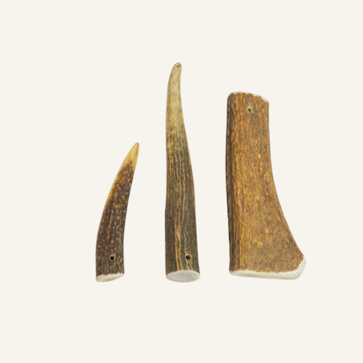 Patomia natural whole deer antler dog chews in three different sizes for long-lasting dental health