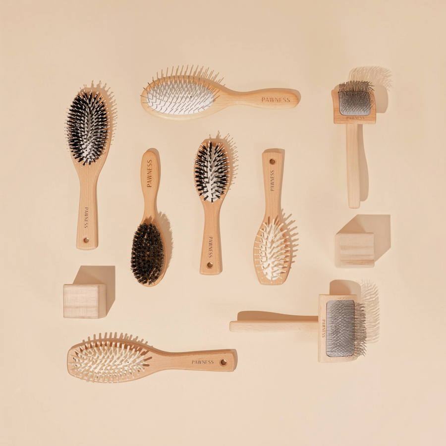 Patomia collection of sustainable wooden dog grooming brushes with natural bristles for short and long hair