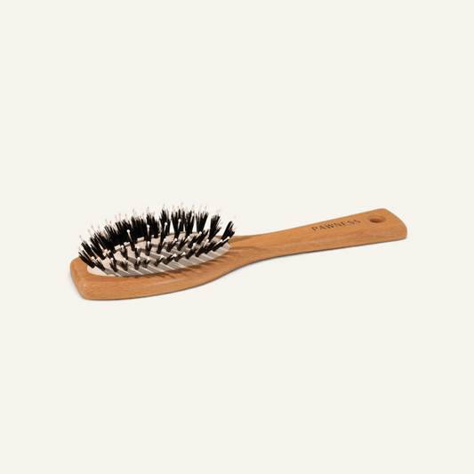 Patomia wooden dog brush with nylon bristles for short-haired dogs, featuring a sustainable beech wood handle.